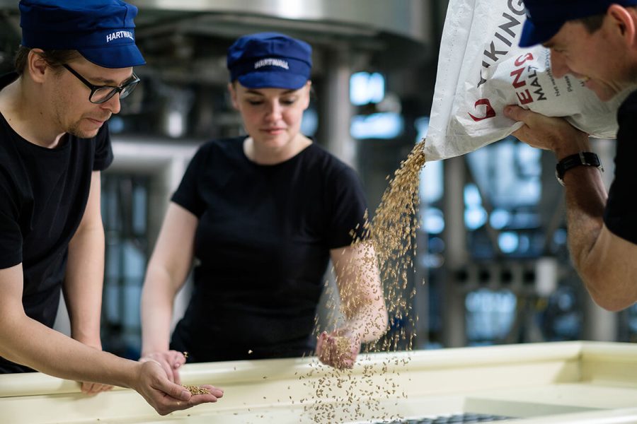 Workers of Hartwall checking the quality of the malt.